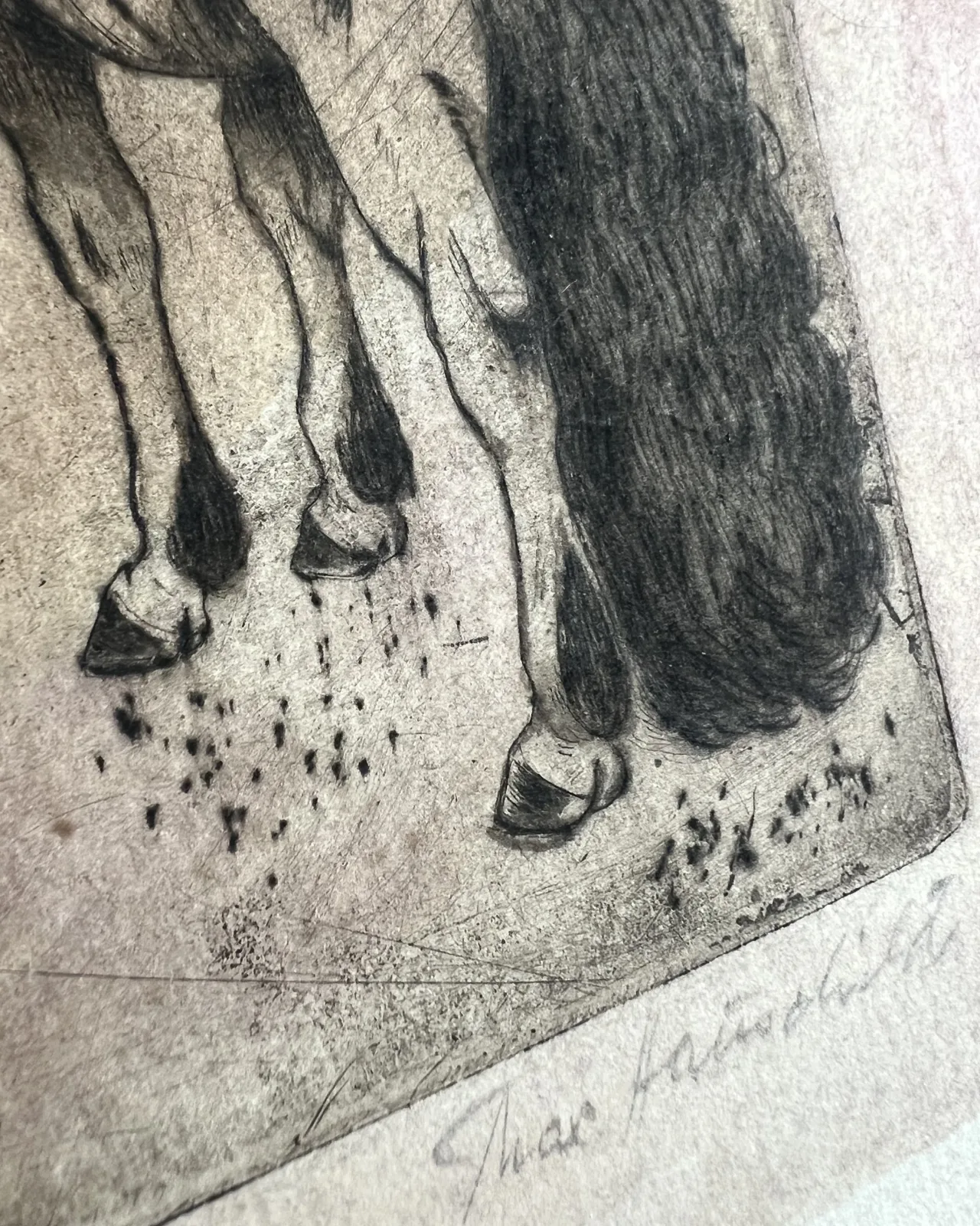 Woltyżerka na koniu — 03