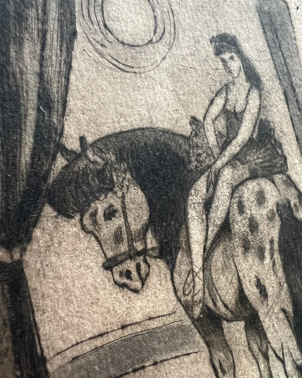 Woltyżerka na koniu — 04